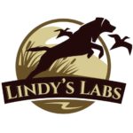 Lindy’s Labs